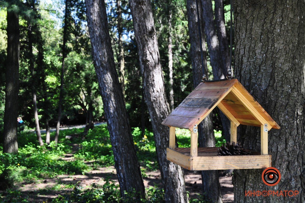 Да, белочек здесь также можно встретить