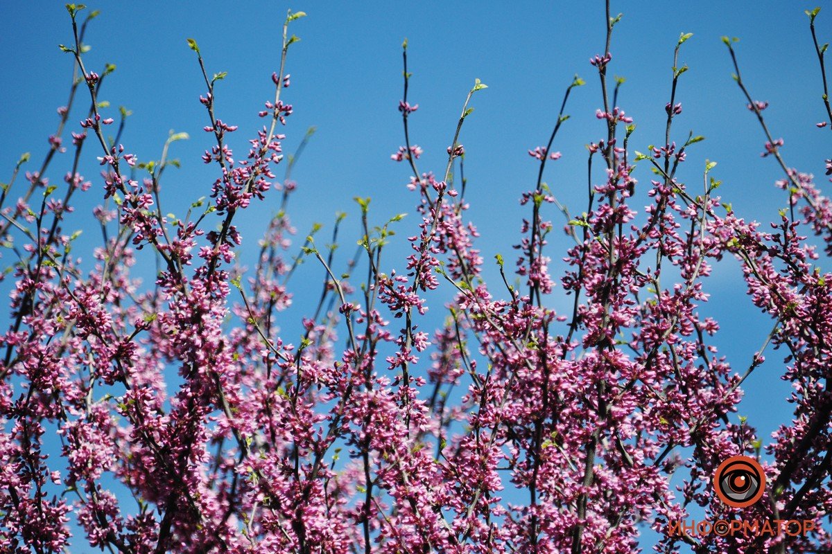 В мае будет одна рабочая суббота - 14 числа