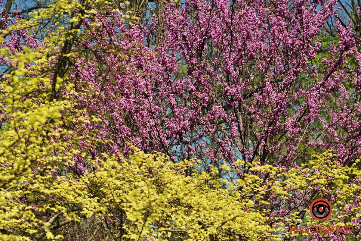 Вход со стороны улицы Бронетанковой