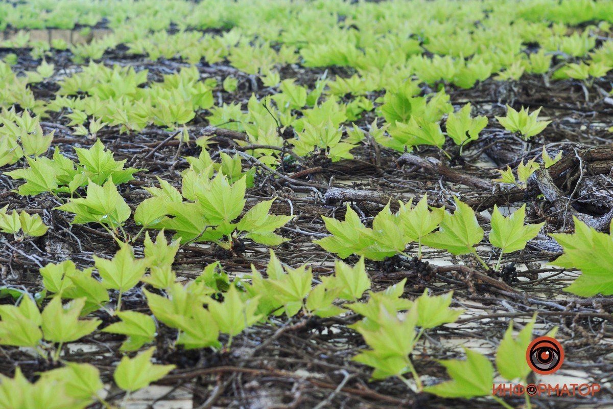 Отличное место для прогулок