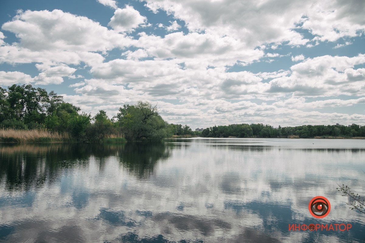 Днепровские плавни