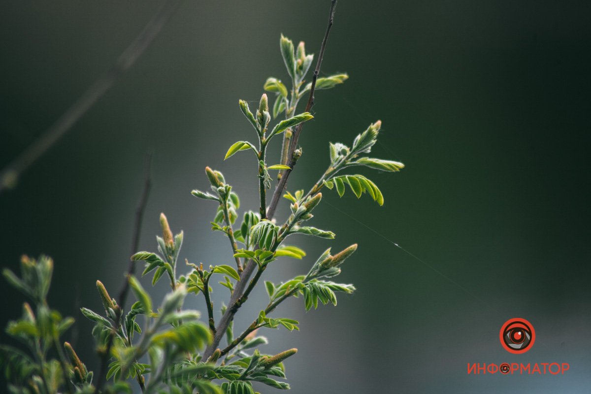 Очень тонко