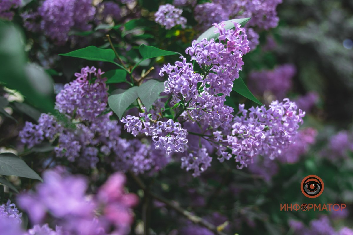 Отвлекитесь на секундочку Отвлекитесь на секундочку