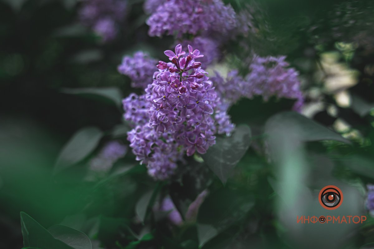 Хотим отвлечь вас хоть ненадолго Хотим отвлечь вас хоть ненадолго