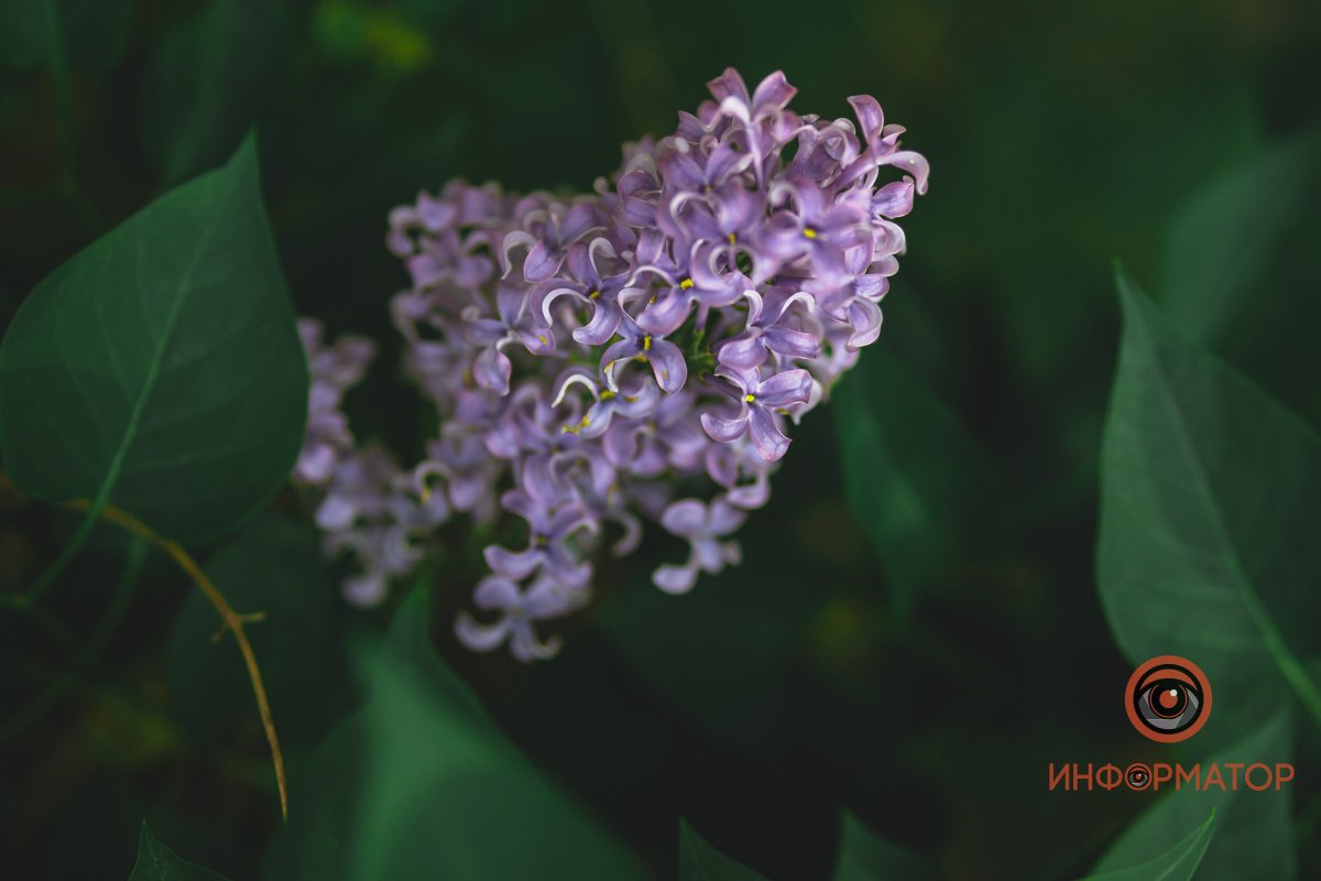 Украина выстоит! Украина выстоит!