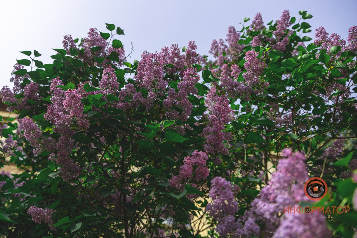 Наша страна - самая красивая Наша страна - самая красивая
