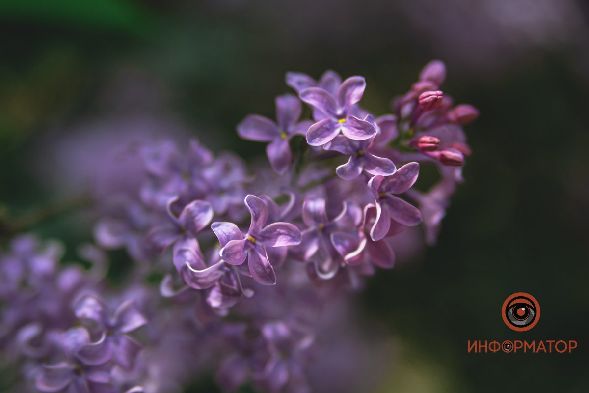 Фото: Денис Чубченко Фото: Денис Чубченко