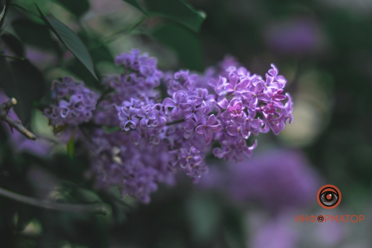 Фото: Денис Чубченко Фото: Денис Чубченко