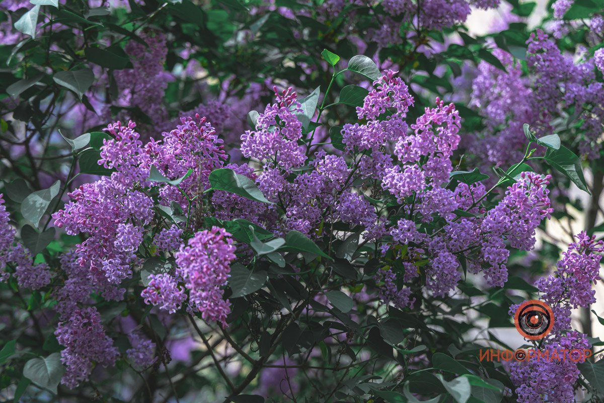 Фото: Денис Чубченко Фото: Денис Чубченко