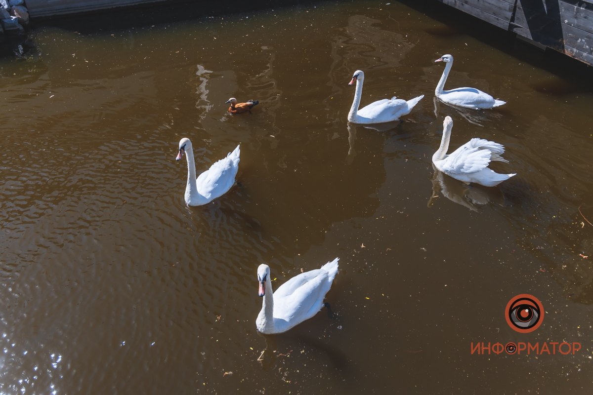 В воде и на земле: как проходит солнечный день в месте, где обитают животные 4