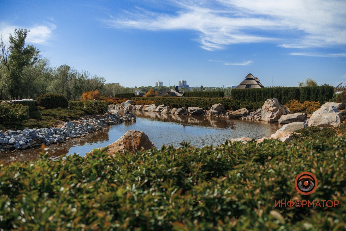 В воде и на земле: как проходит солнечный день в месте, где обитают животные 5