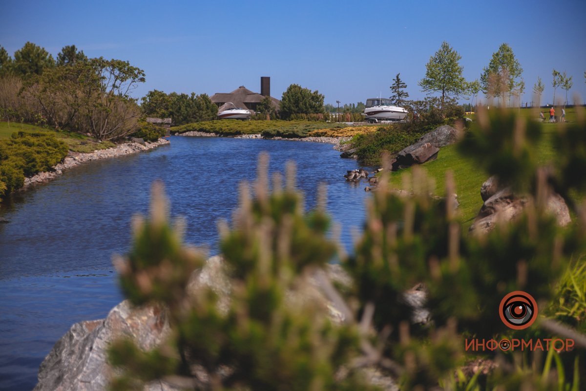 В воде и на земле: как проходит солнечный день в месте, где обитают животные 6