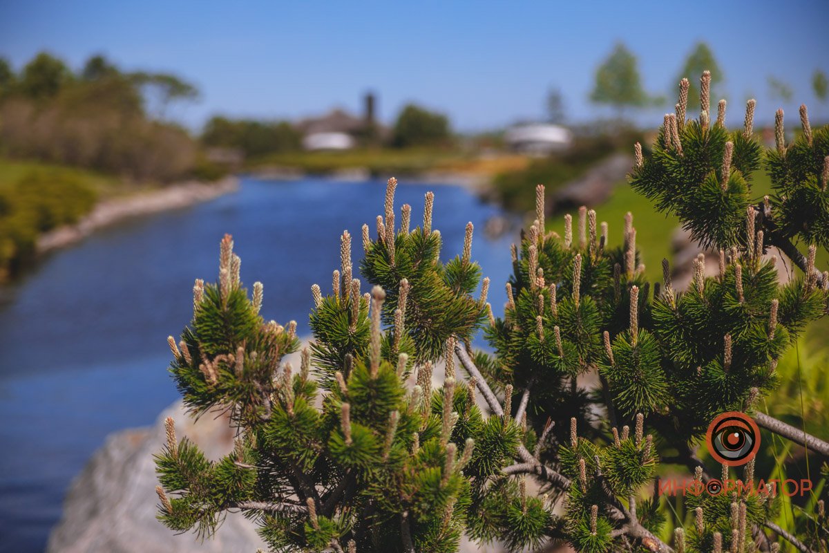 В воде и на земле: как проходит солнечный день в месте, где обитают животные 7
