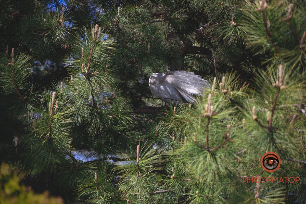 В воде и на земле: как проходит солнечный день в месте, где обитают животные 8