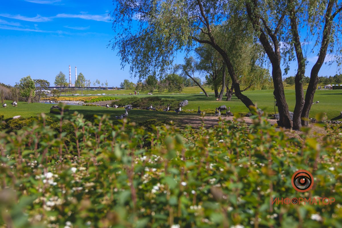 В воде и на земле: как проходит солнечный день в месте, где обитают животные 9