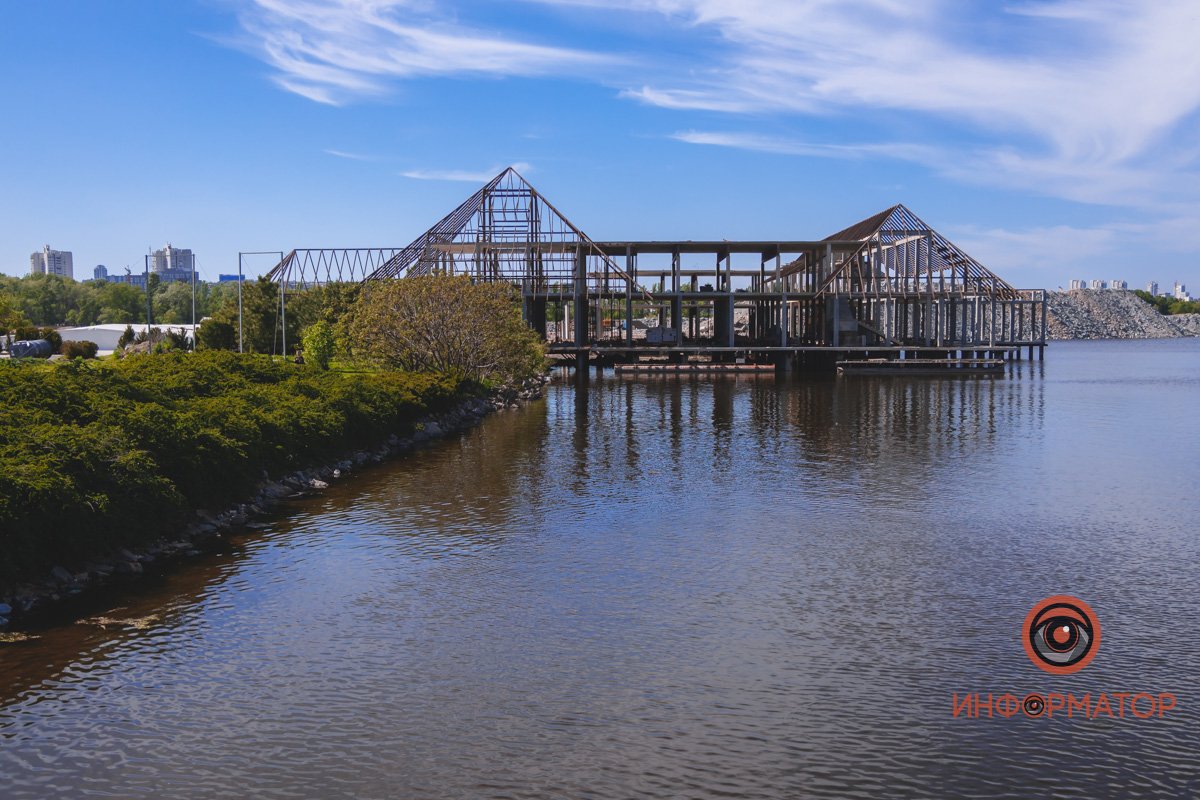 В воде и на земле: как проходит солнечный день в месте, где обитают животные 10