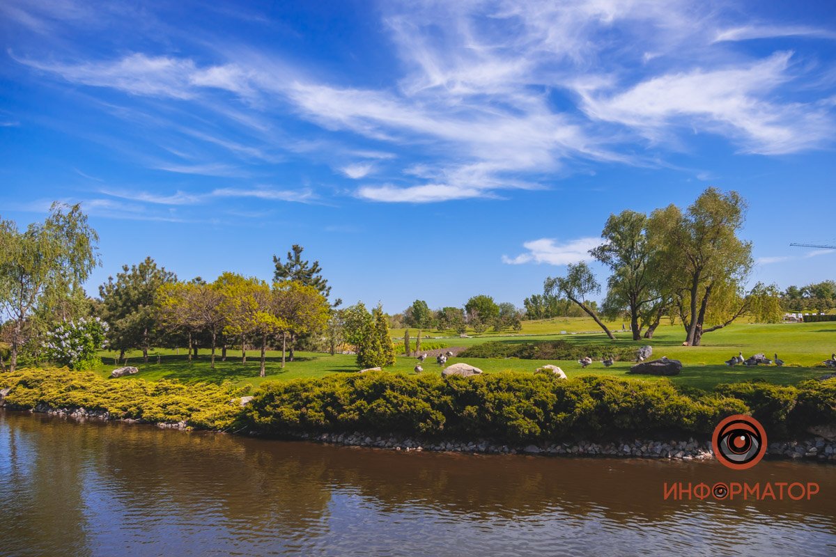 В воде и на земле: как проходит солнечный день в месте, где обитают животные 11