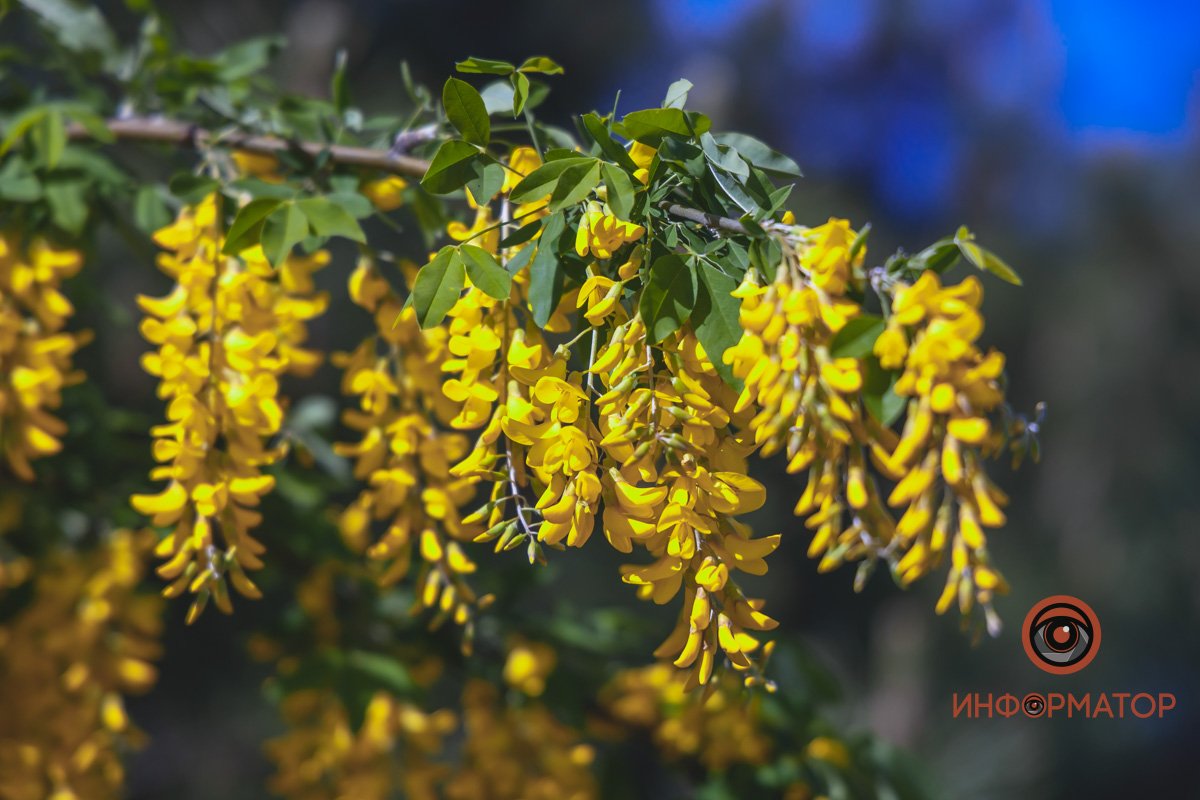 В воде и на земле: как проходит солнечный день в месте, где обитают животные 12