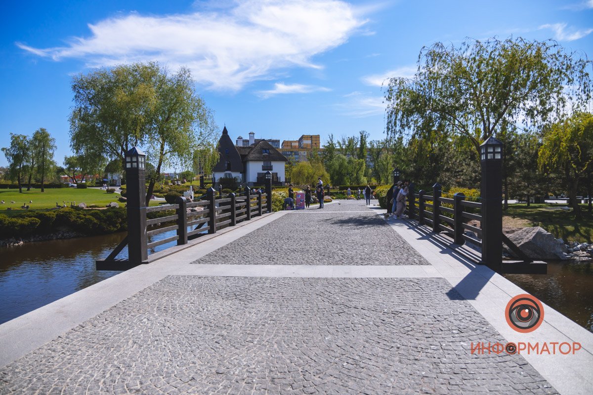 В воде и на земле: как проходит солнечный день в месте, где обитают животные 13