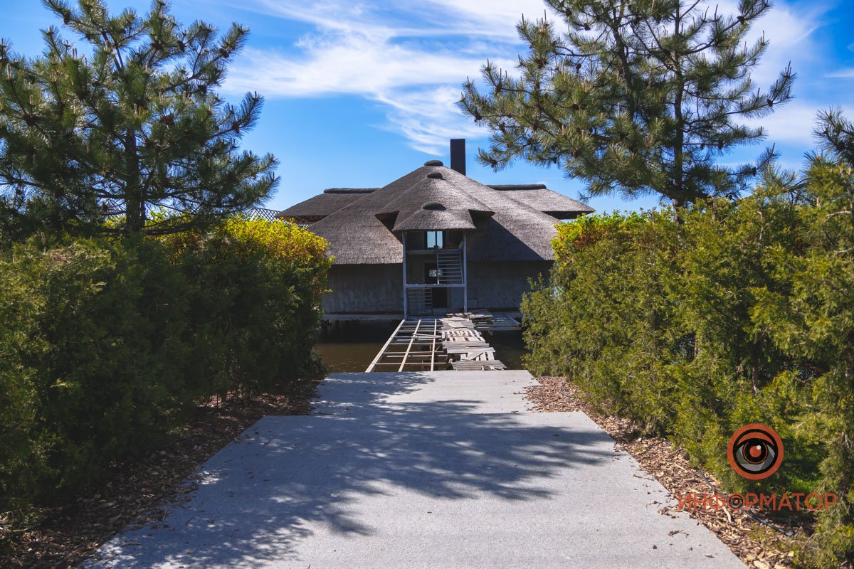 В воде и на земле: как проходит солнечный день в месте, где обитают животные 14