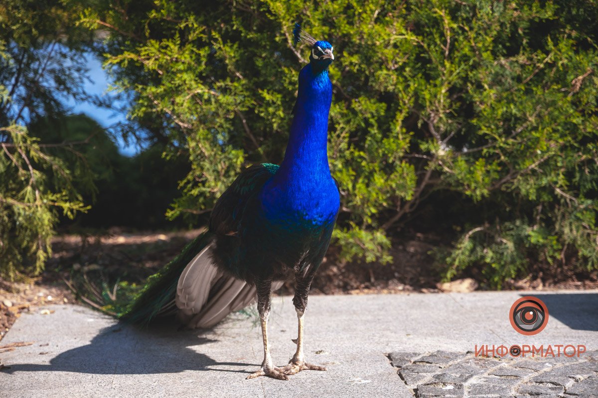 В воде и на земле: как проходит солнечный день в месте, где обитают животные 15