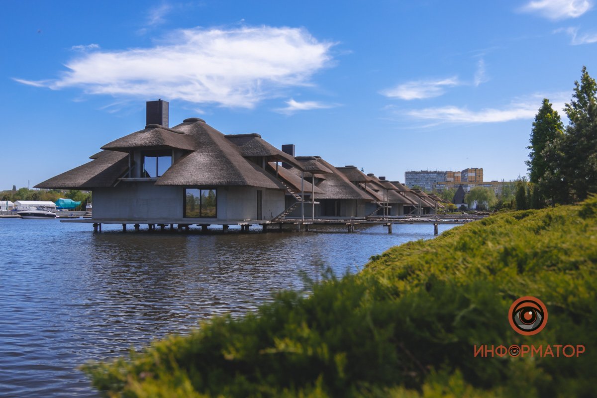 В воде и на земле: как проходит солнечный день в месте, где обитают животные 25