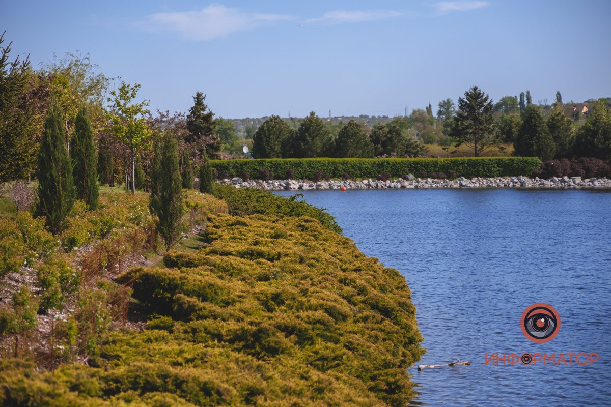 В воде и на земле: как проходит солнечный день в месте, где обитают животные 26