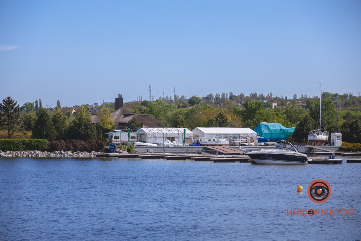 В воде и на земле: как проходит солнечный день в месте, где обитают животные 27