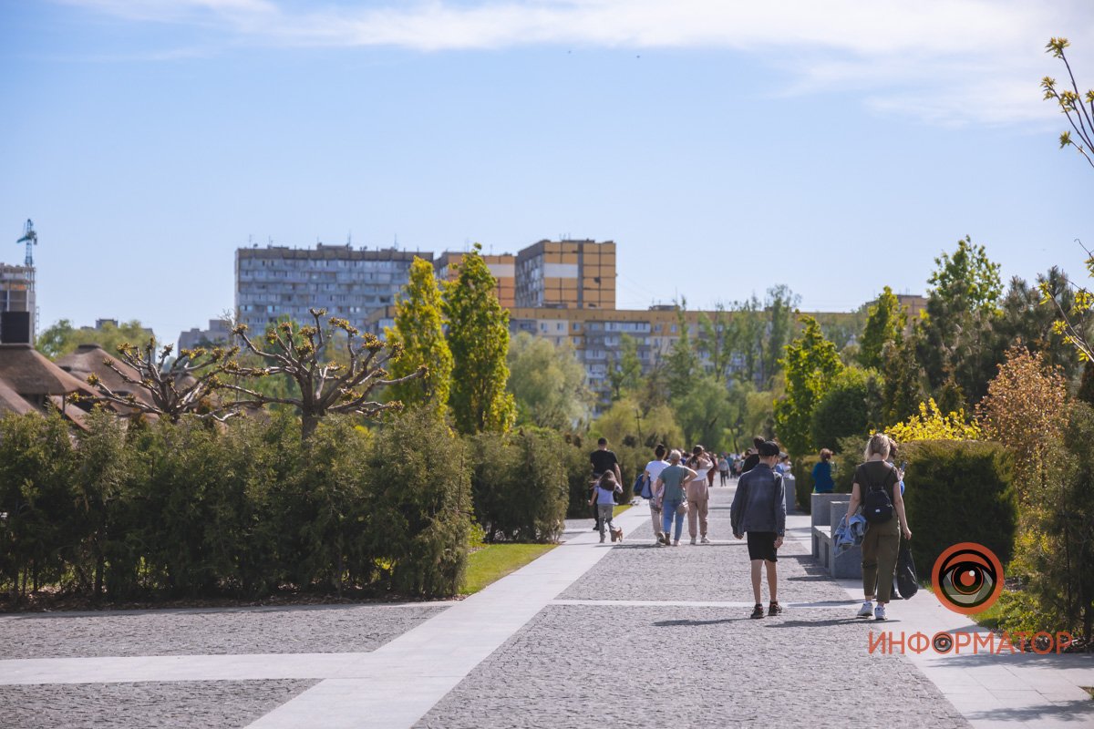 В воде и на земле: как проходит солнечный день в месте, где обитают животные 28