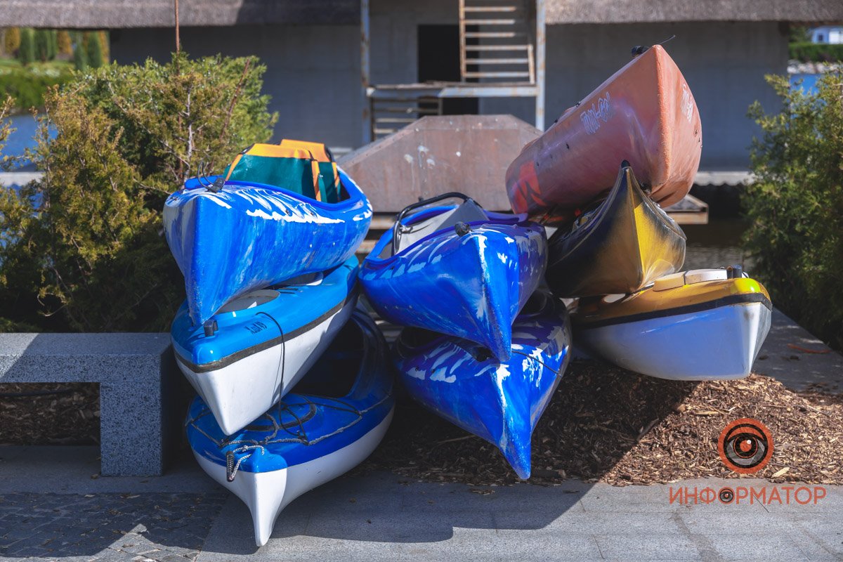 В воде и на земле: как проходит солнечный день в месте, где обитают животные 29