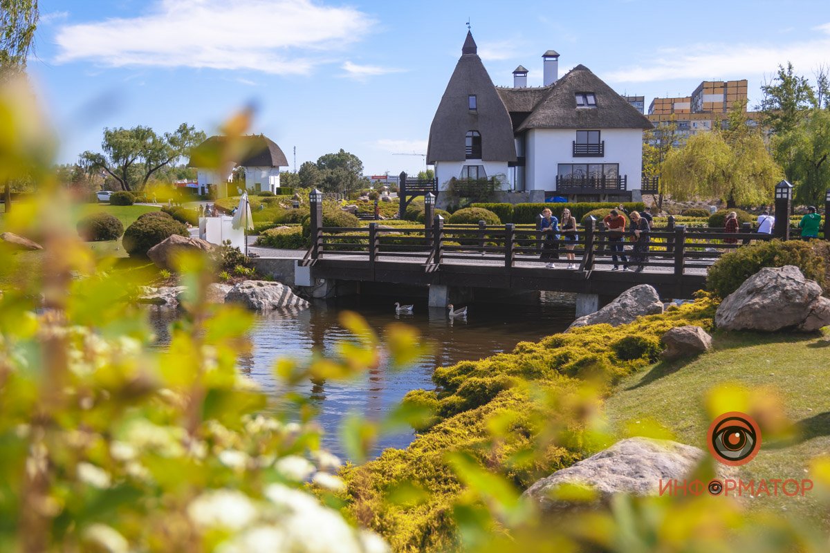 В воде и на земле: как проходит солнечный день в месте, где обитают животные 30