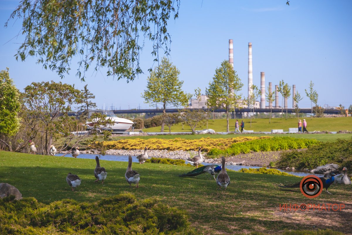 В воде и на земле: как проходит солнечный день в месте, где обитают животные 31