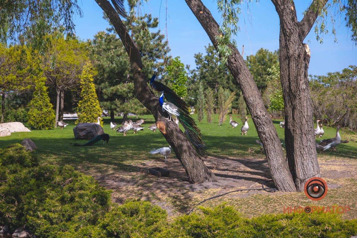 В воде и на земле: как проходит солнечный день в месте, где обитают животные 33