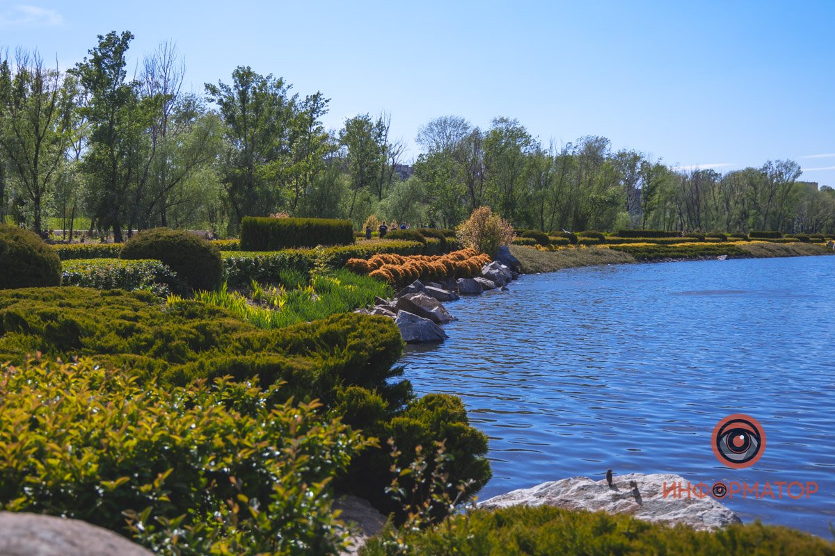 В воде и на земле: как проходит солнечный день в месте, где обитают животные 35