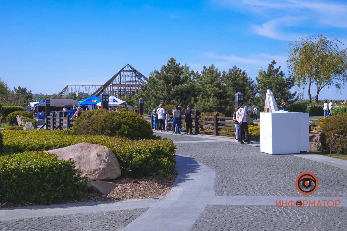 В воде и на земле: как проходит солнечный день в месте, где обитают животные 36