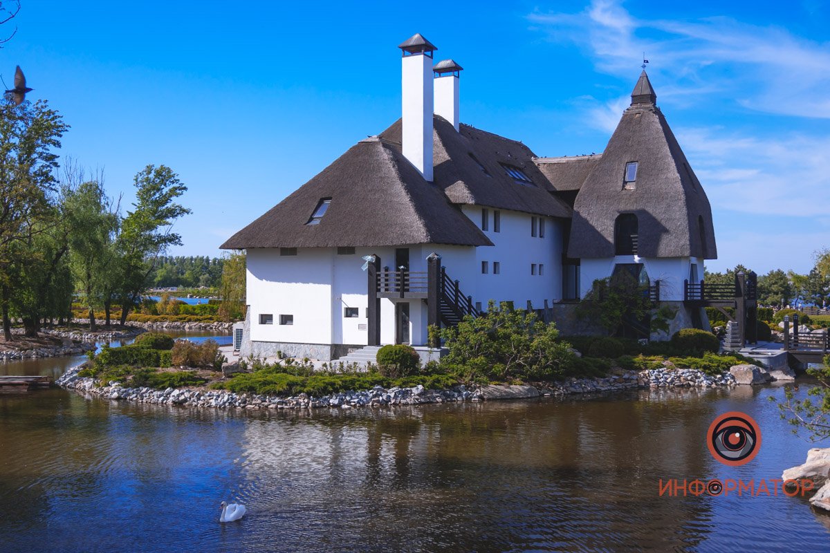 В воде и на земле: как проходит солнечный день в месте, где обитают животные 38