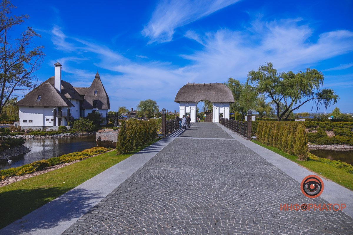 В воде и на земле: как проходит солнечный день в месте, где обитают животные 39