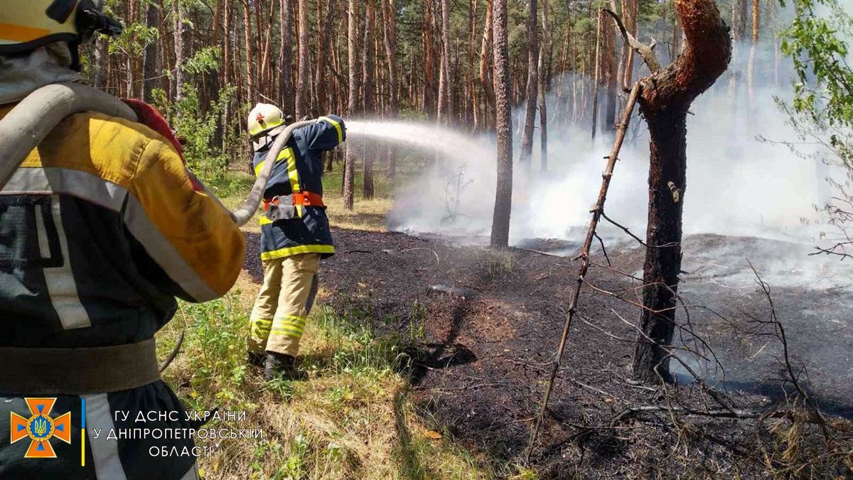 В Днепропетровской области загорелась подстилка хвойного леса 1