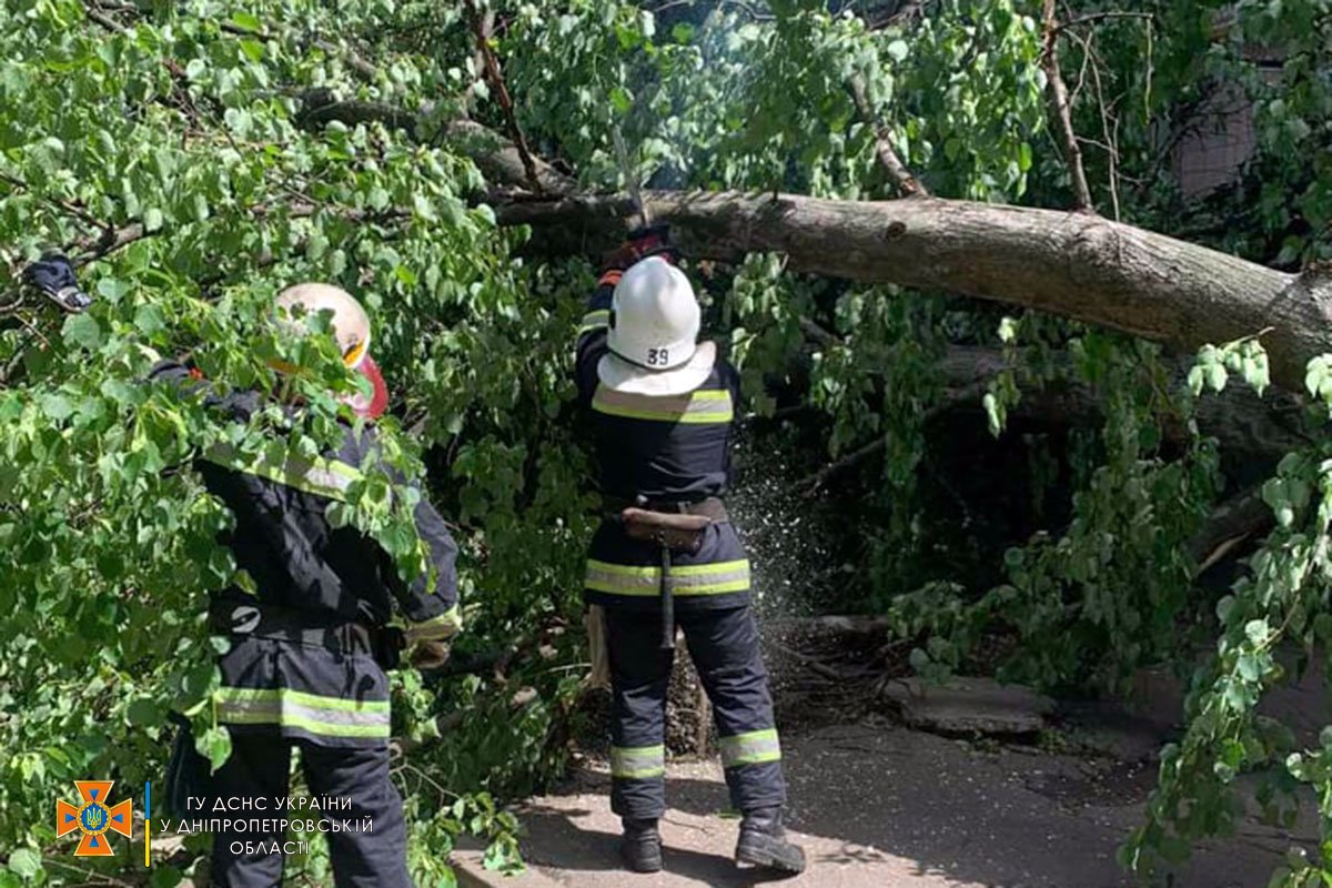 В Желтых Водах упало дерево и заблокировало проход в подъезд 2