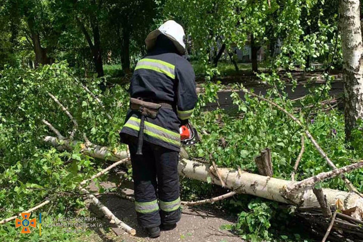 В Желтых Водах упало дерево и заблокировало проход в подъезд 4