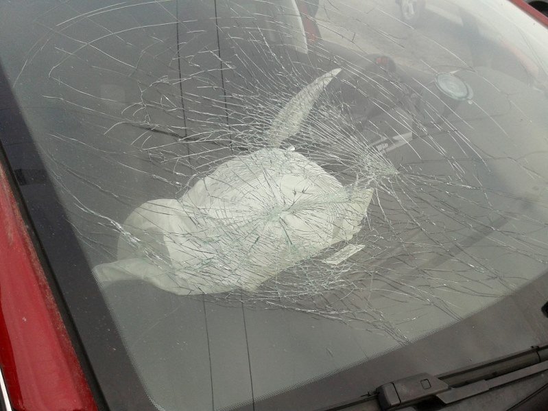 Серьезное ДТП на Новом мосту: девушка на Peugeot вылетела на встречную (ФОТО) 3