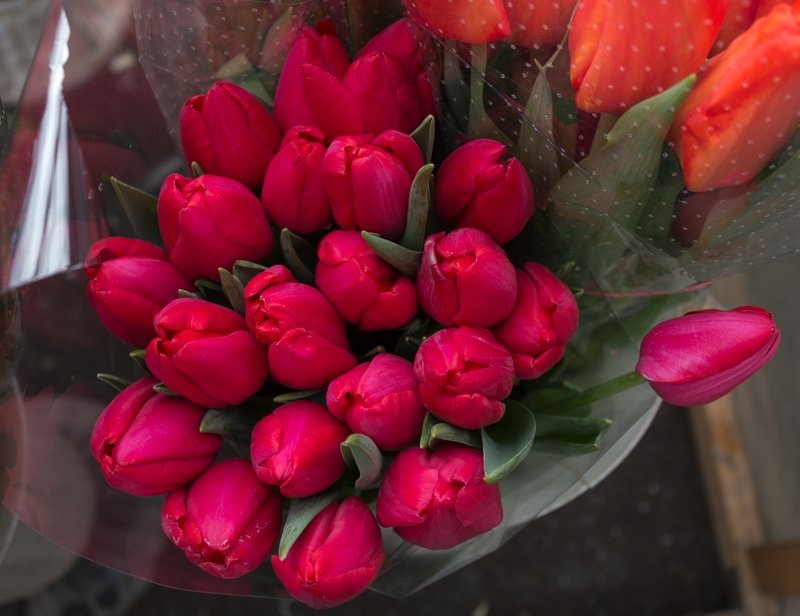 Цена любви: сколько стоит купить подарок и цветы на День Святого Валентина в Днепре (ФОТО) 5