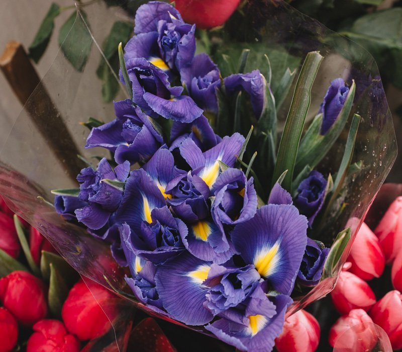 Цена любви: сколько стоит купить подарок и цветы на День Святого Валентина в Днепре (ФОТО) 6