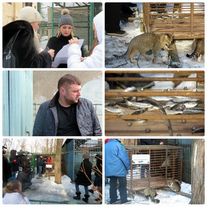 До свидания, наш ласковый мишка: Днепровская медведица переезжает в заповедник (ФОТО, ВИДЕО) 4