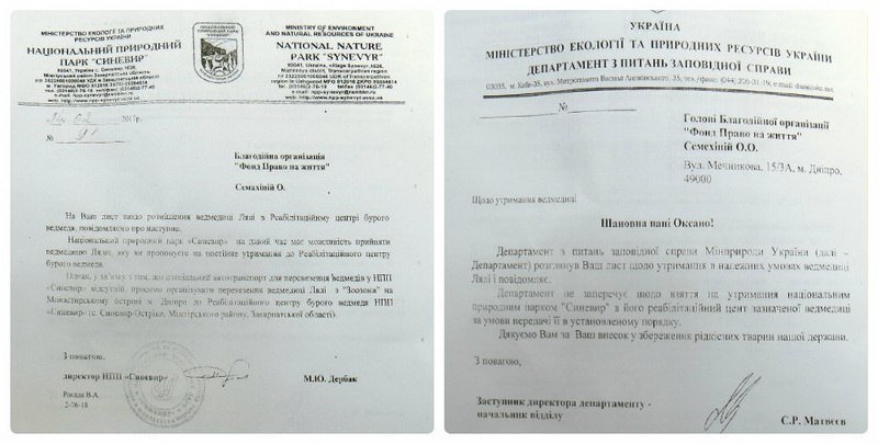 До свидания, наш ласковый мишка: Днепровская медведица переезжает в заповедник (ФОТО, ВИДЕО) 6