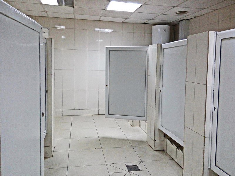 Ревизия «по-большому» и «по-маленькому»: ужасная грязь и едкий запах в сортире днепровского вокзала (ФОТО) 11