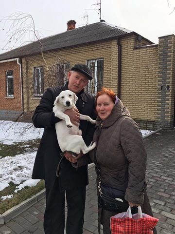 Филатов нашел хозяев пропавшей собаки (ФОТО) 1