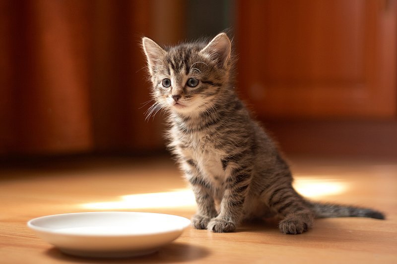 Что подарить на 8 марта девушке, жене, маме или сестре 6