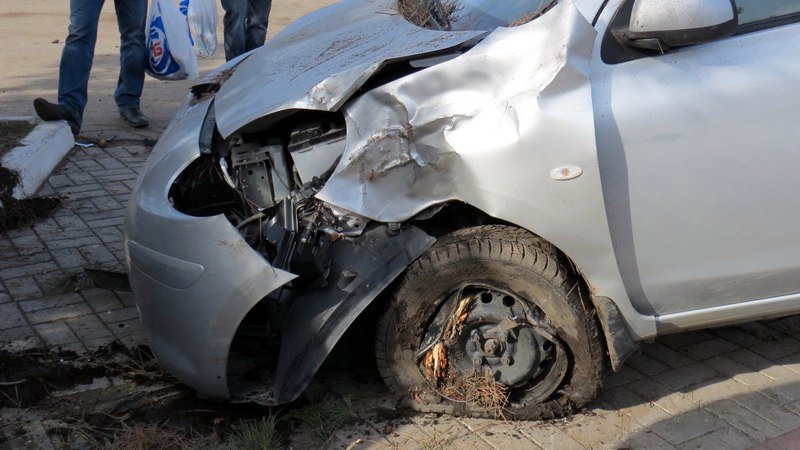 Кто в лес, кто по дрова: в Днепре девушка на Nissan снесла три елки 1