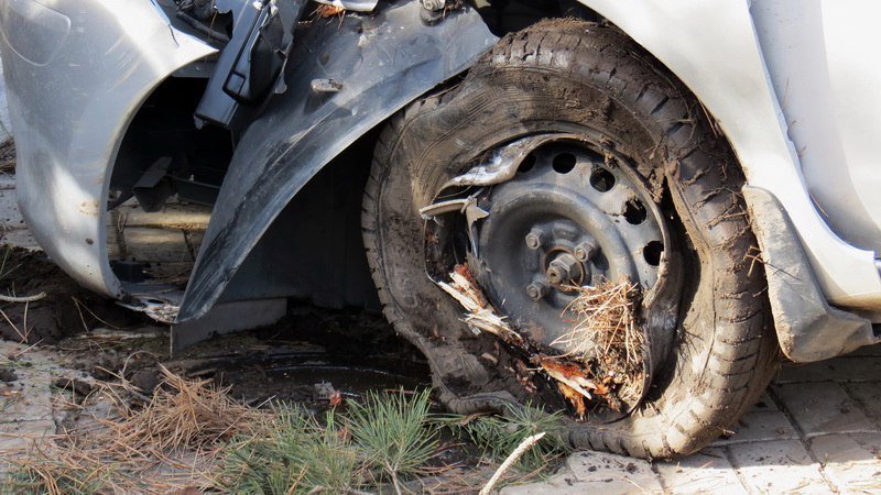 Кто в лес, кто по дрова: в Днепре девушка на Nissan снесла три елки 3